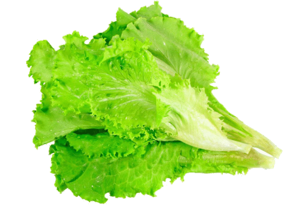 Basil & Co. | Fresh, Flavorful Food for Every Table